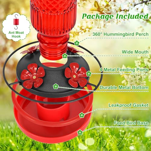 Best Hummingbird Feeder For Garden