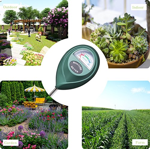 Best Moisture Meter For Garden 2026
