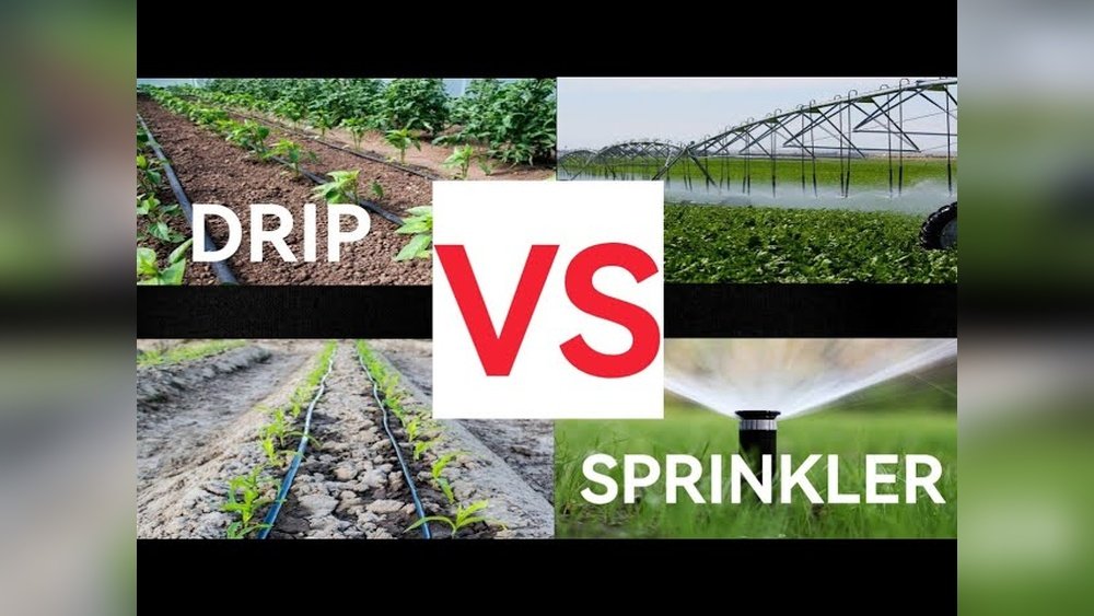 Drip Irrigation Vs Sprinkler Which is Better