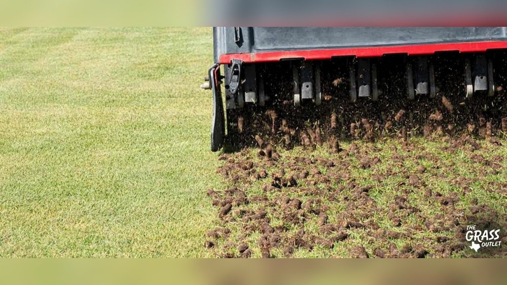 How to Aerate Lawn by Hand Guide