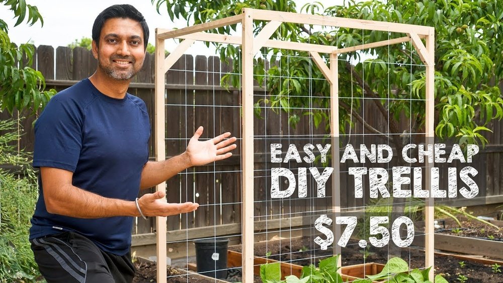 How to Build a Garden Trellis Diy Cheap