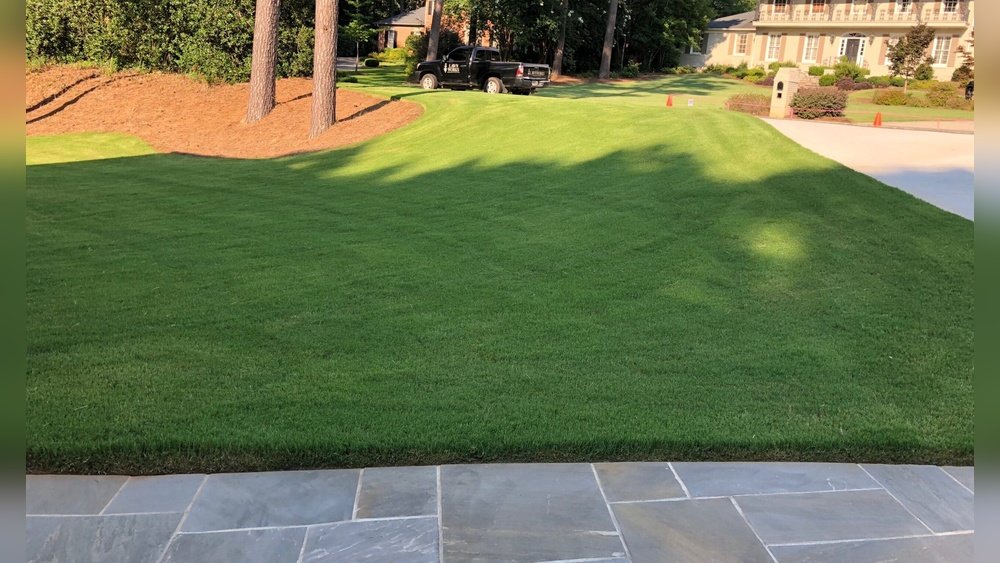 How to Care for Bermuda Grass in Summer