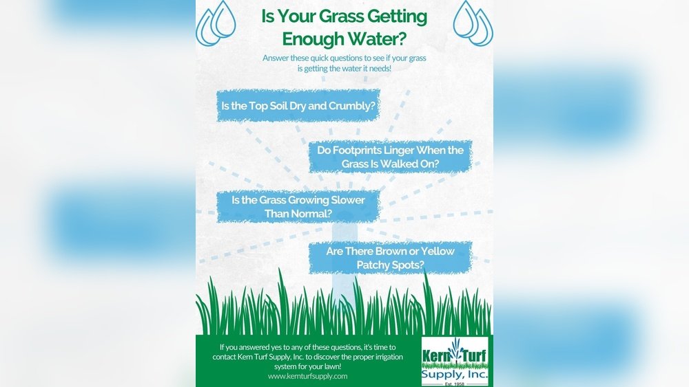 How to Check If Lawn is Getting Enough Water