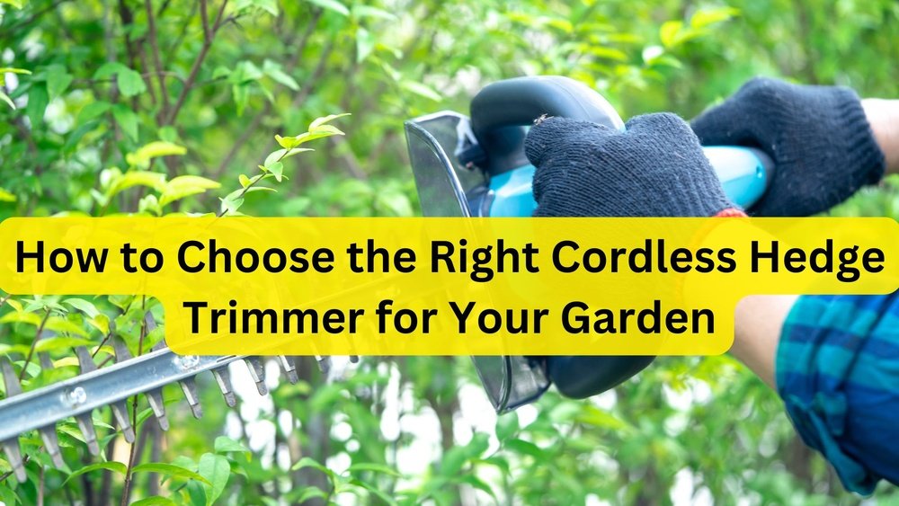 How to Choose a Hedge Trimmer for Your Garden