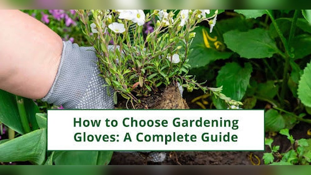 How to Choose Garden Gloves Guide