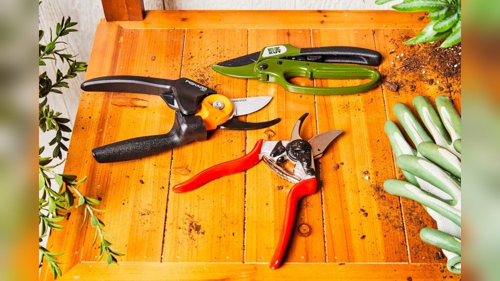 How to Choose the Best Pruning Shears for Your Plants
