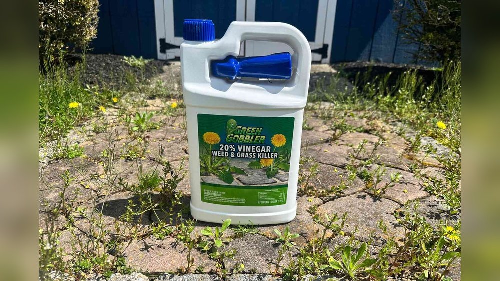 How to Choose the Best Weed Killer for Lawns