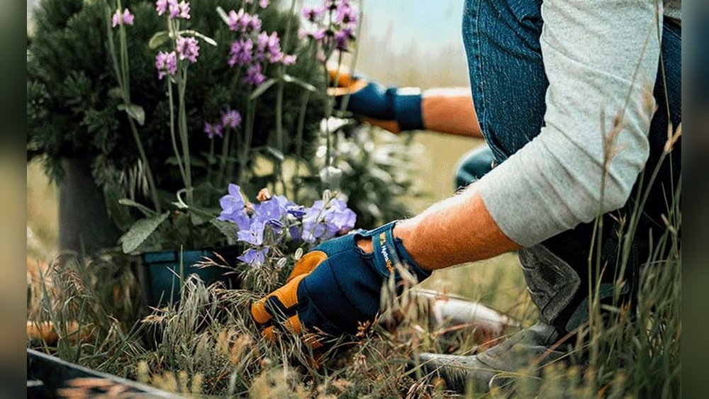 How to Choose the Right Gardening Gloves for Comfort And Protection