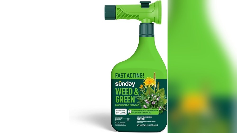 How to Control Dandelions With Post-Emergent Weed Killer