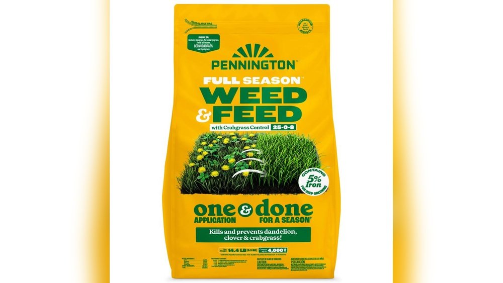 How to Control Weeds in a Lawn With Ryegrass
