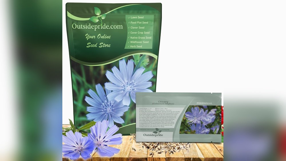 How to Deadhead Flowers to Improve Seed Production
