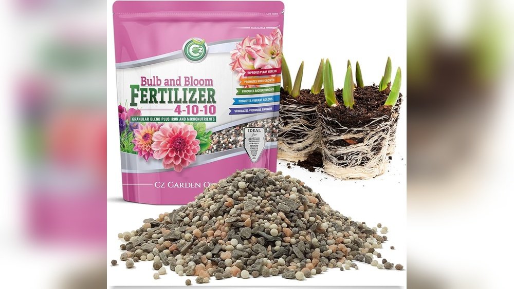 How to Fertilize Flower Bulbs for Better Blooming