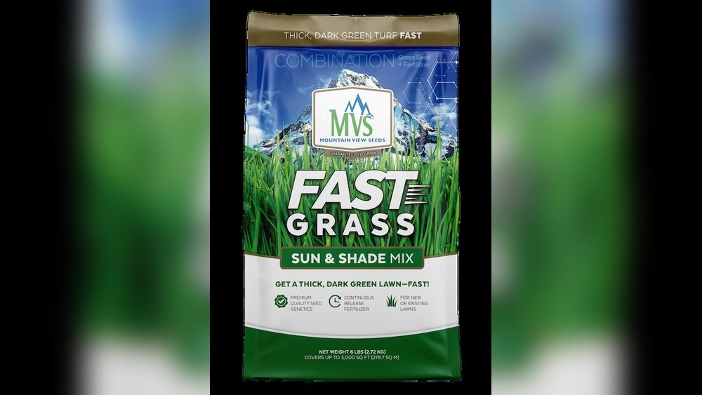 How to Grow Thick Green Grass Fast