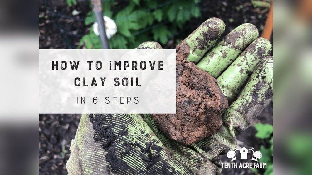 How to Improve Clay Soil for Planting