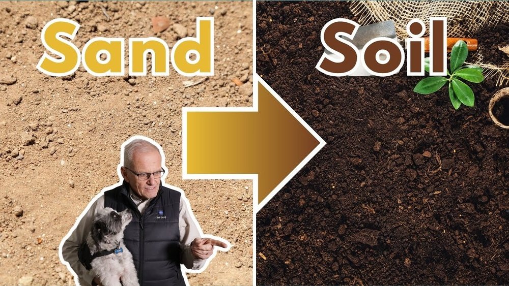 How to Improve Sandy Soil for Growing