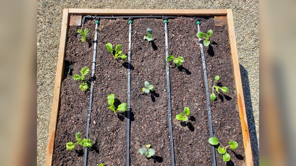 How to Install Drip Irrigation for Raised Beds