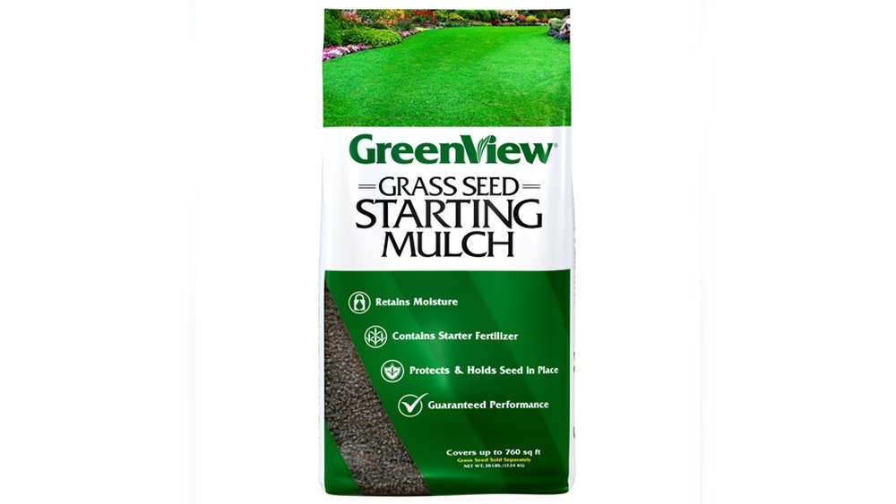 How to Keep Seeds Moist for Successful Germination