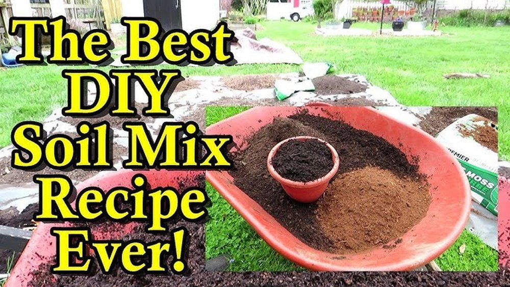 How to Make Garden Soil from Scratch