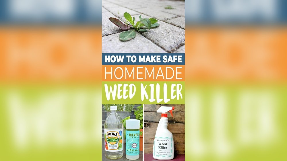How to Make Natural Homemade Weed Killers