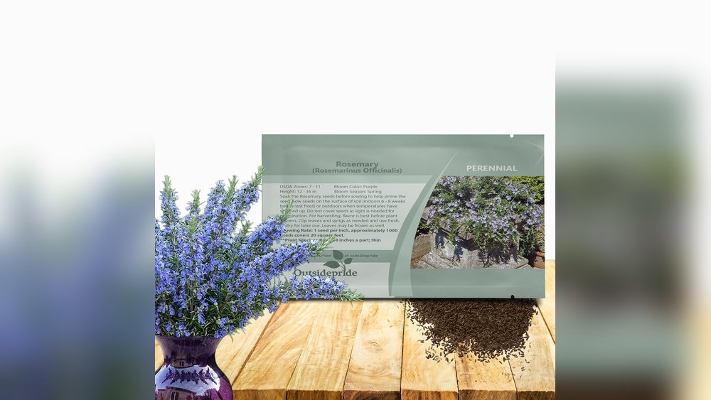 How to Plant Rosemary Seeds for a Herb Garden