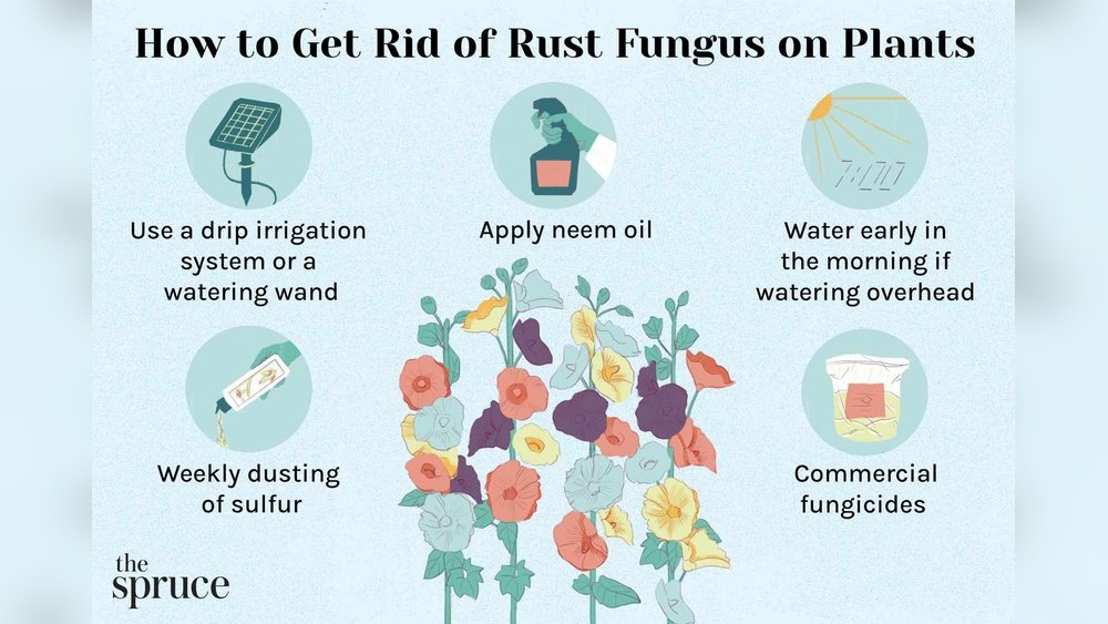 How to Prevent Fungus from Attacking Your Flower Bulbs