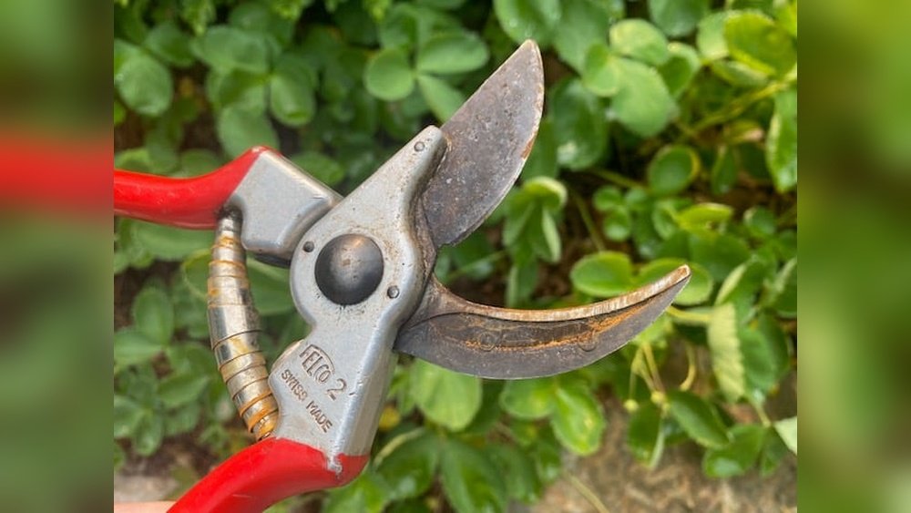 How to Prevent Rust on Gardening Tools