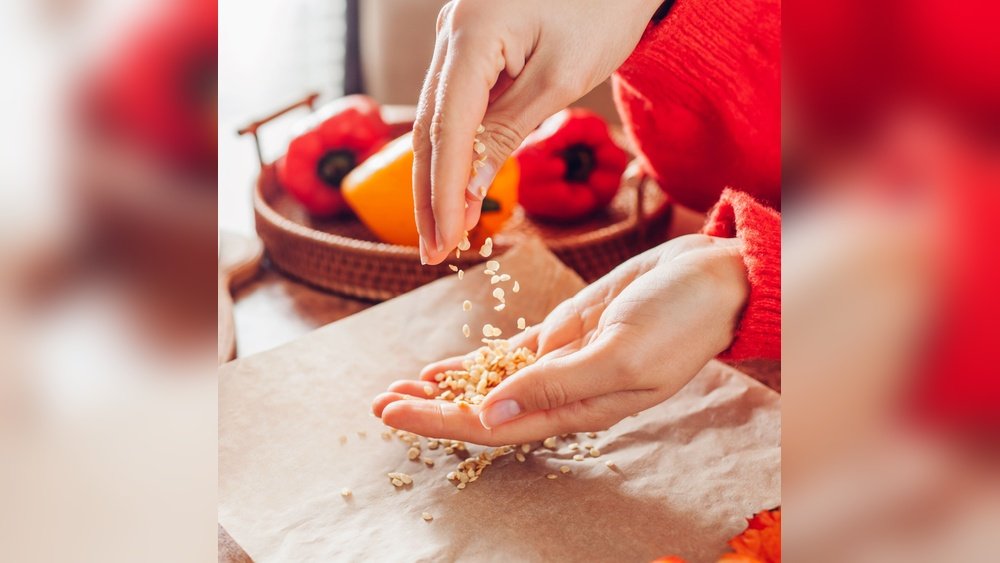 How to Save Vegetable Seeds from Your Garden