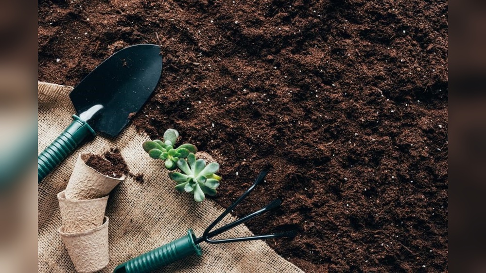 How to Select Tools for Gardening in Raised Beds