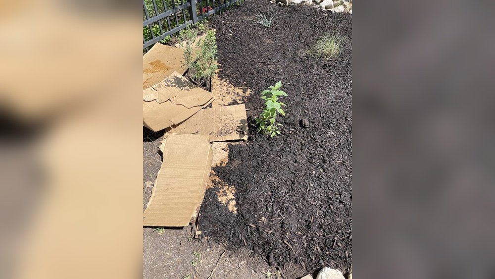 How to Stop Weeds from Growing in Flower Gardens