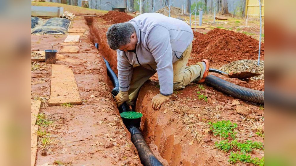 How to Test Soil Drainage at Home Guide