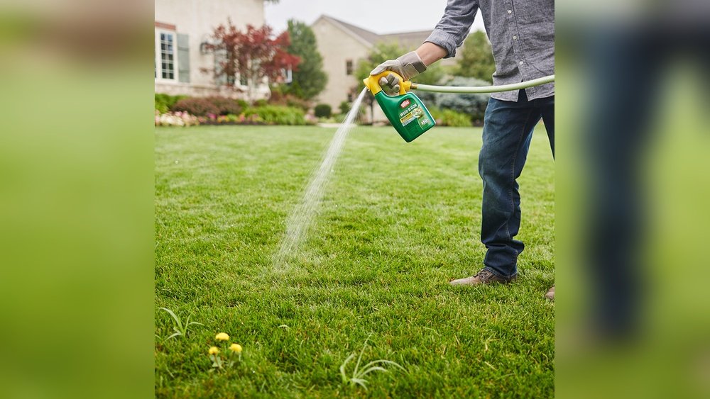 How to Treat Lawn Weeds in Early Spring