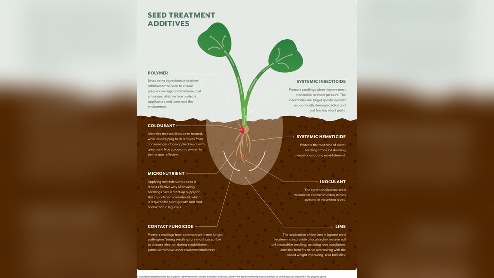 How to Treat Seeds for Pests before Planting