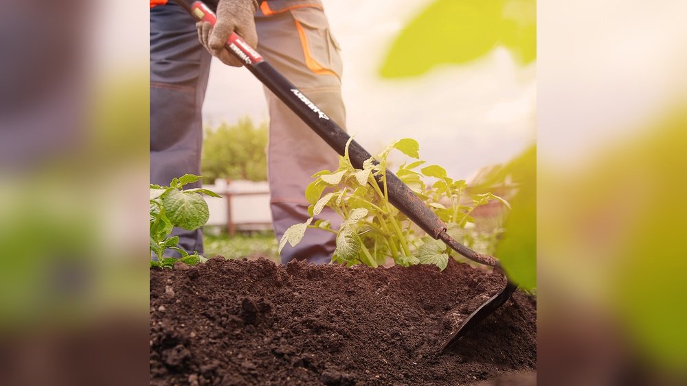 How to Use a Hoe for Weeding Your Garden