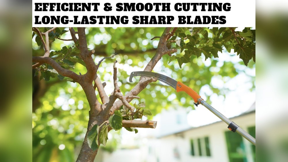 How to Use a Pruning Saw to Trim Tree Branches