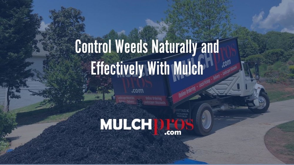 How to Use Mulch to Naturally Control Weeds