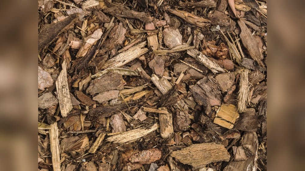 How to Use Wood Chips in Garden Beds Tips