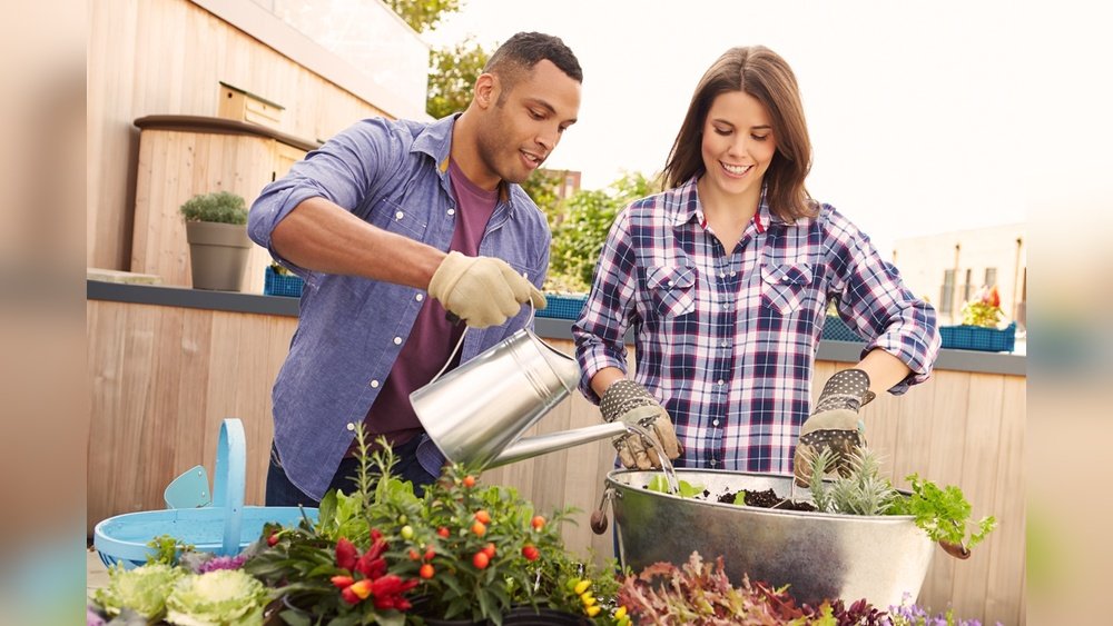 How to Water Container Plants Correctly