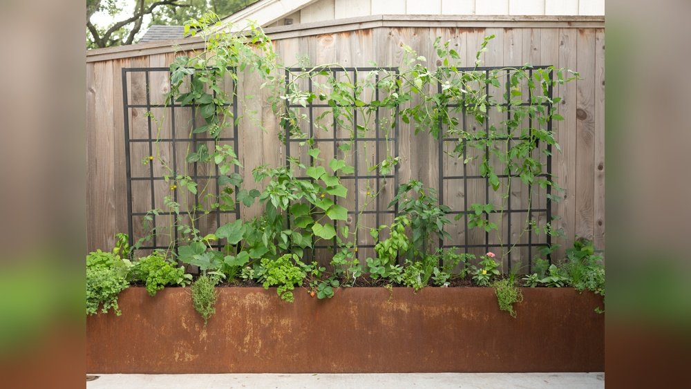 Types of Garden Trellises And Their Uses