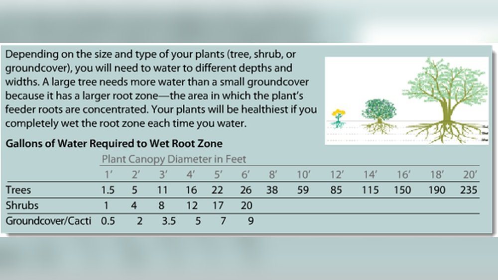 What Size Drip Emitter for Plants