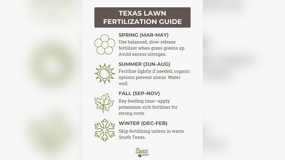 When to Fertilize Lawn in Spring Guide