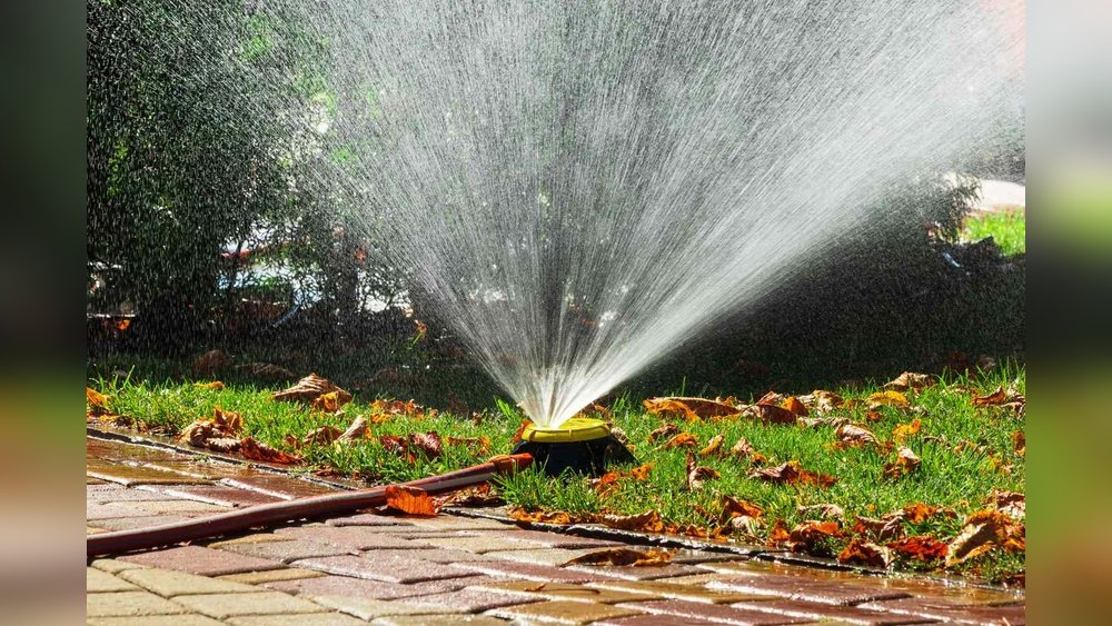 When to Stop Watering Lawn in Fall