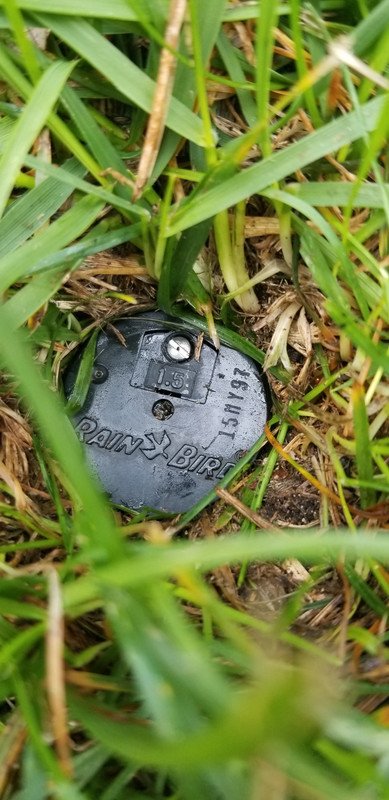 Fix Sprinkler Head Not Rotating