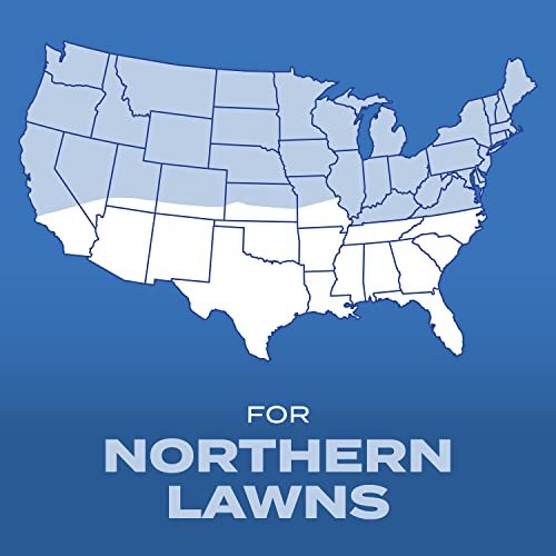 Best Grass Seed For Southeast 2026