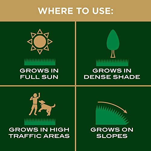 Best Lawn Patching Product 2026