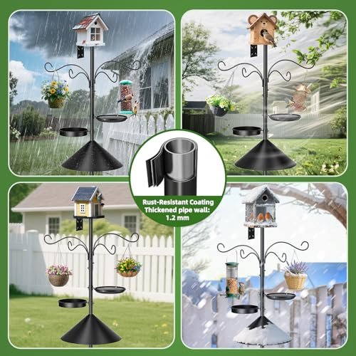 Best Backyard Bird Feeding Station
