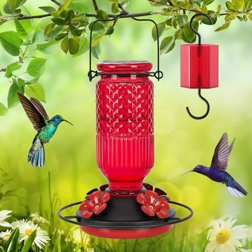 Best Hummingbird Feeder Glass 2026