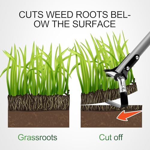 Best Action Hoe For Gardening 2026