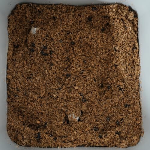 Best Compost Starter Kit 2026