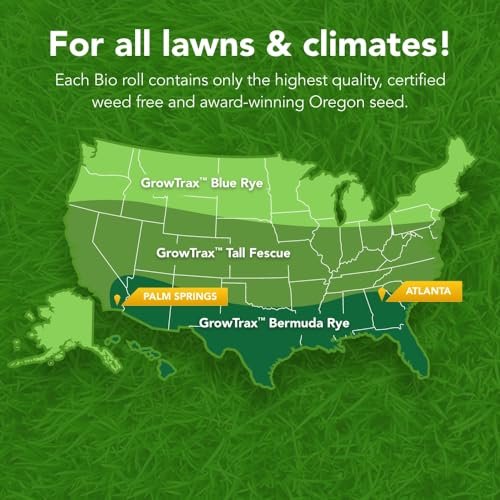 Best Sod For Shady Areas 2026