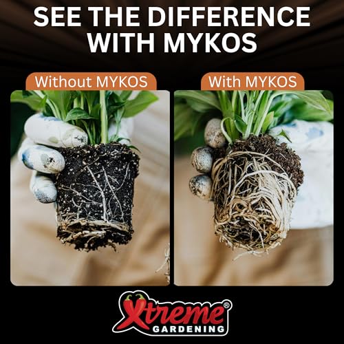 Best Mycorrhizal Inoculant